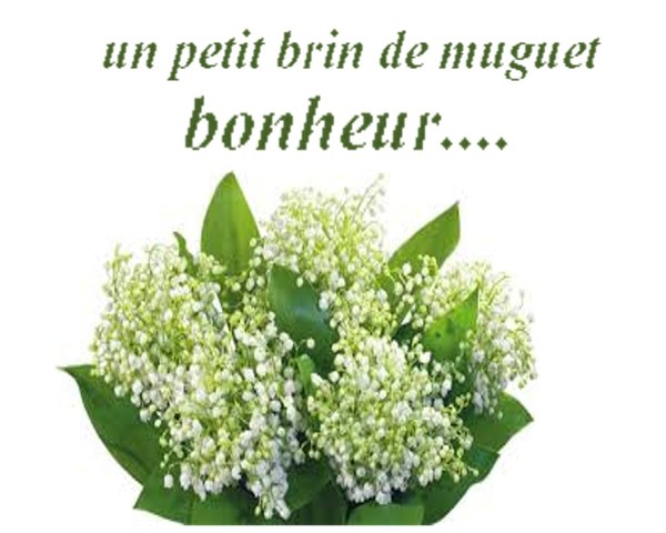 1 MAI