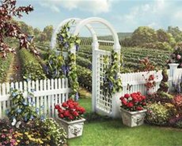 BELLES IMAGES POUR FOND EGRAN 