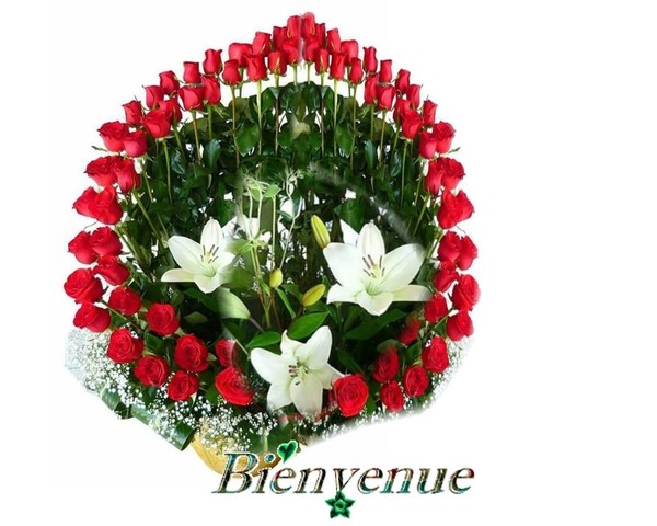 BIENVENUE