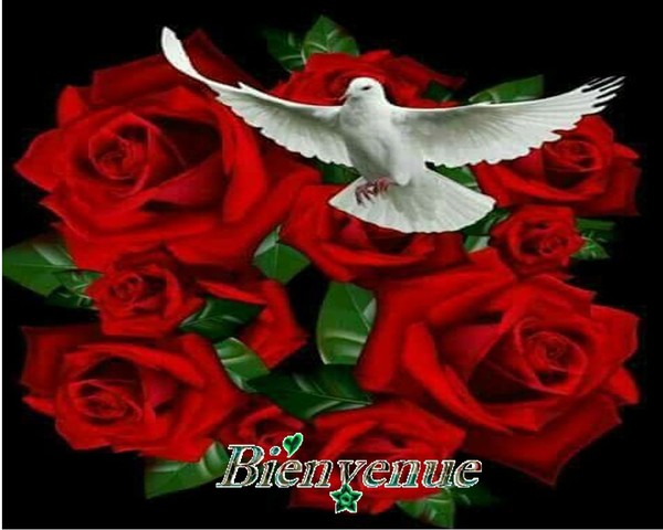 BIENVENUE